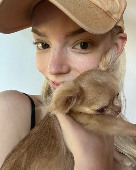 POOCH & SMOOCH: Actress Anya Taylor-Joy introduces new pup Bartok to the world.