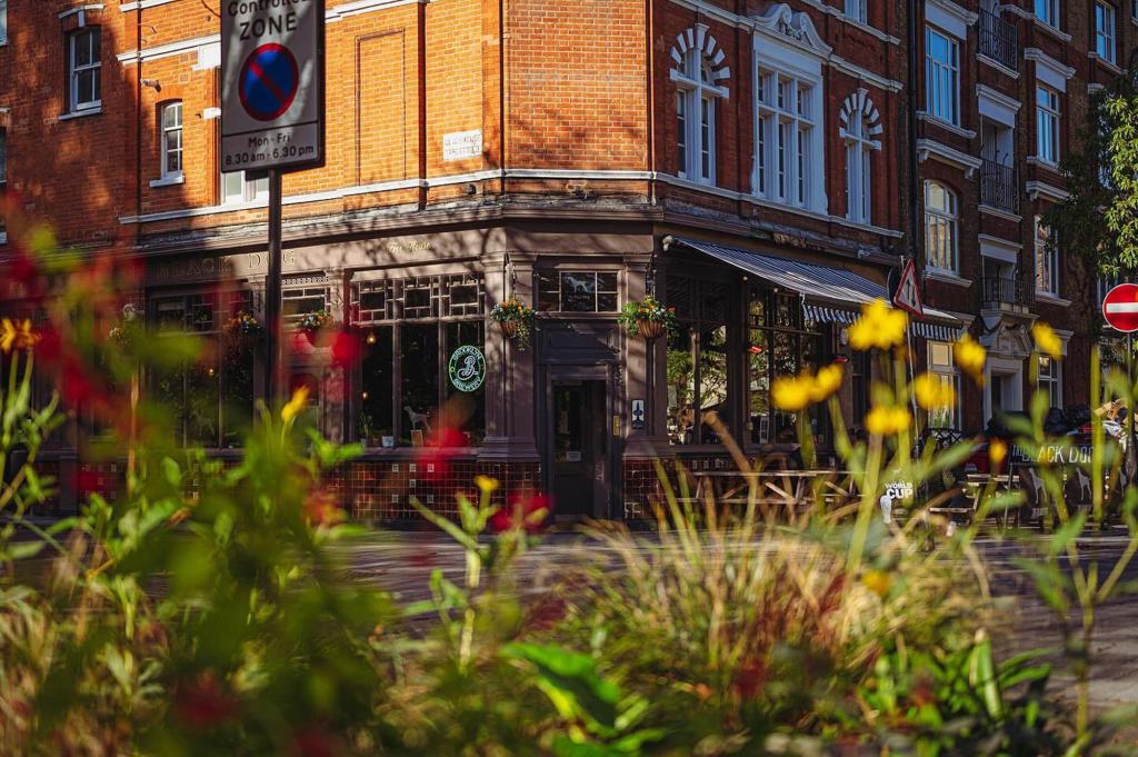 The Black Dog in London.